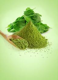 Coriander Powder